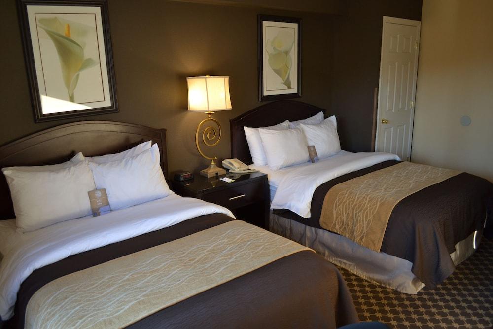 Quality Inn Ithaca - University Area Buitenkant foto